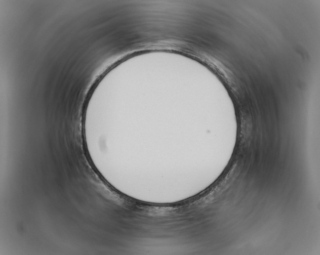 X0000111651184200908141245