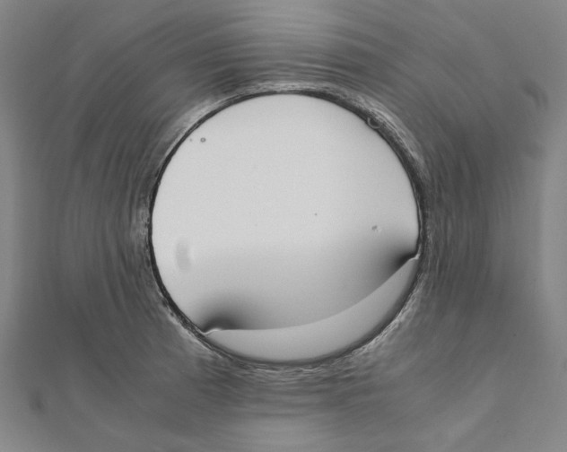 X0000111651185200908141245