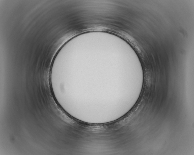 X0000111651186200908141245