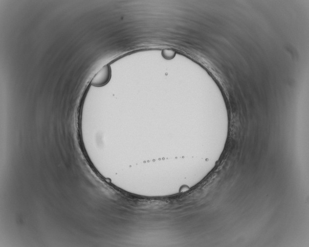 X0000111651187200908141244