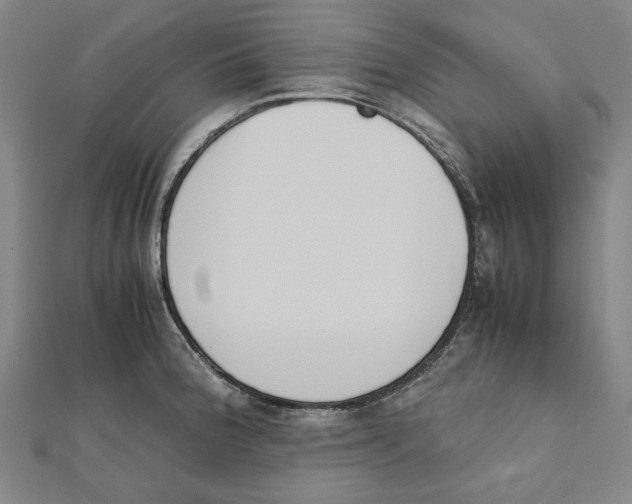 X0000111651188200908141244