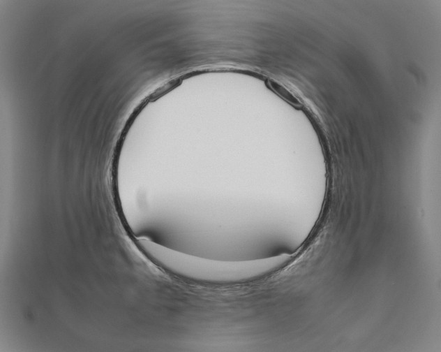 X0000111651189200908141244