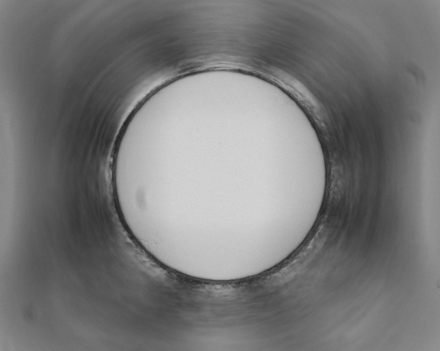 X0000111651190200908141244