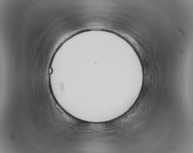 X0000111651191200908141244