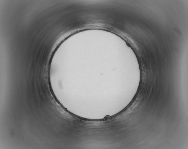 X0000111651192200908141244