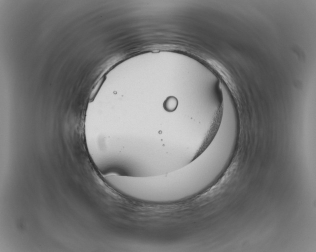 X0000111651193200908141244