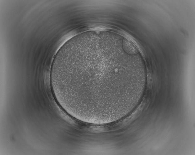 X0000111651194200908141244