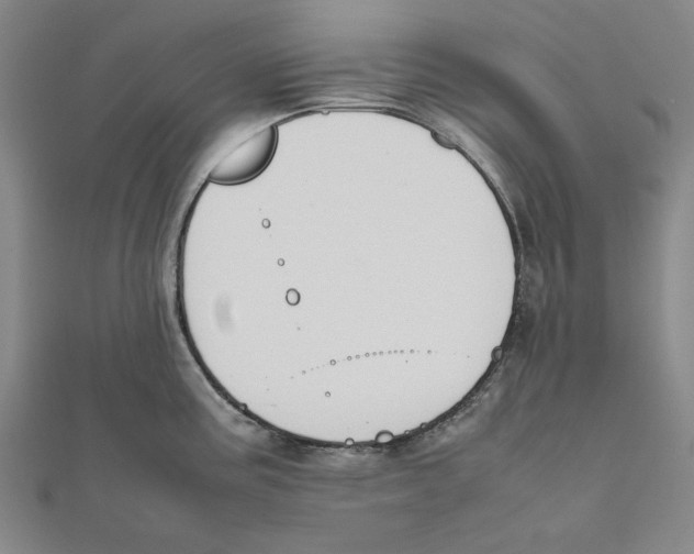 X0000111651195200908141244