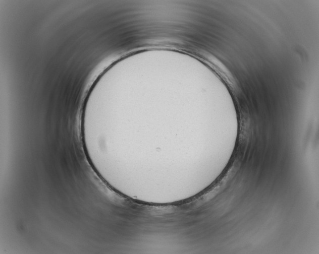 X0000111651196200908141244