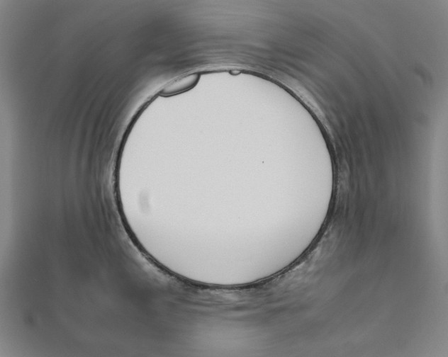 X0000111651197200908141244