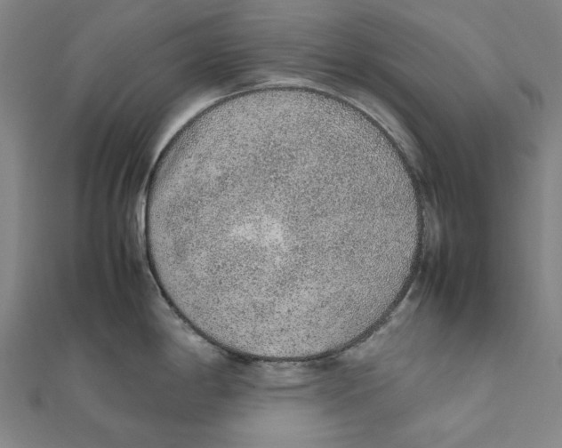 X0000111651198200908141244
