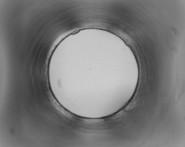 X0000111651200200908141244