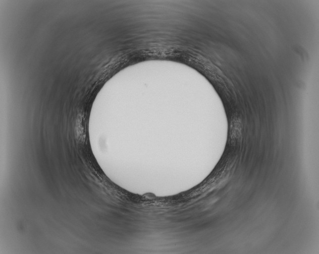 X0000111651202200908141243