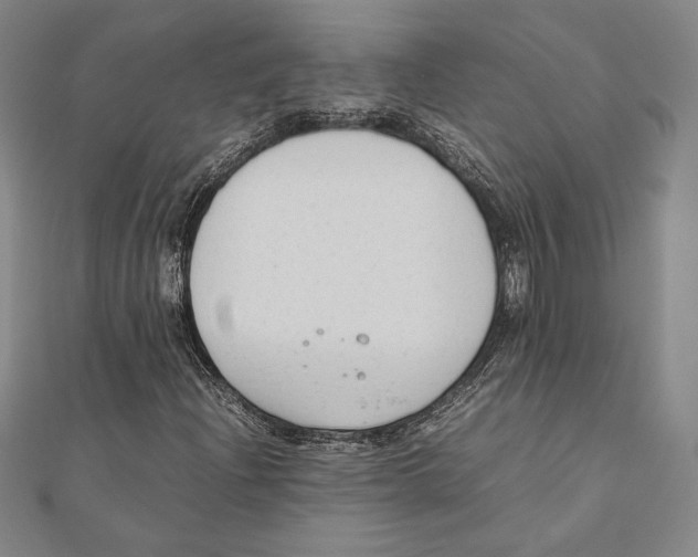 X0000111651204200908141244