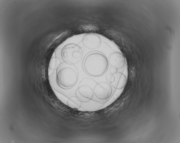 X0000111651205200908141244