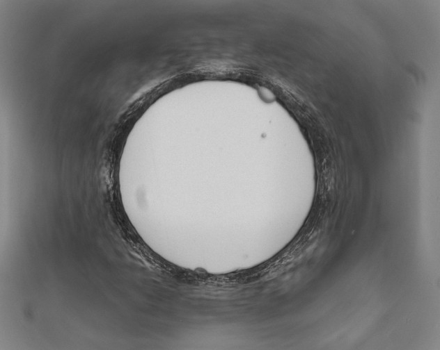 X0000111651206200908141244