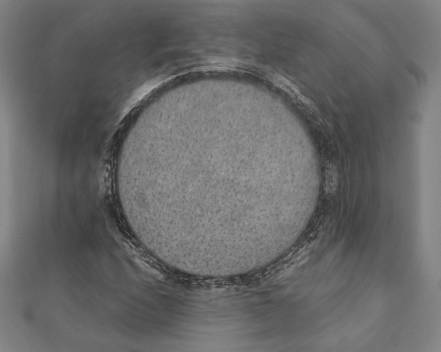 X0000111651208200908141244