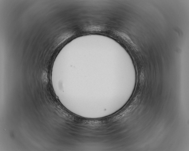 X0000111651209200908141244