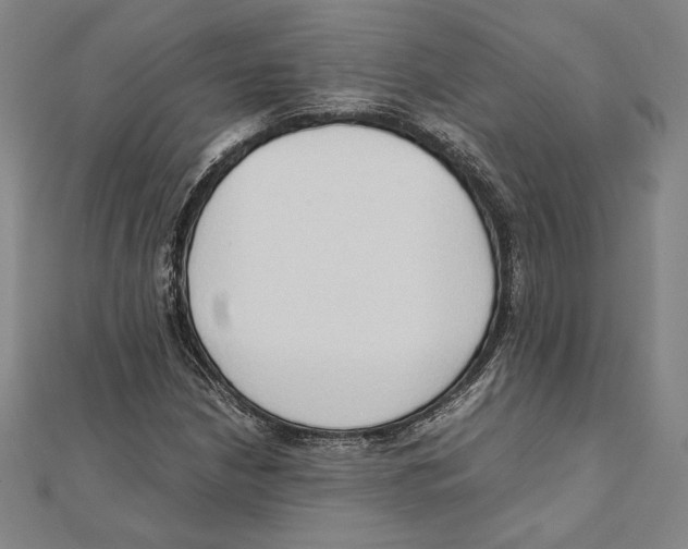 X0000111651210200908141244