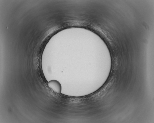 X0000111651211200908141244