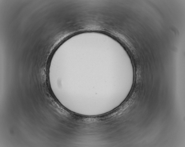 X0000111651212200908141244