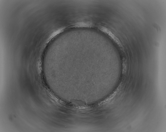 X0000111651213200908141244
