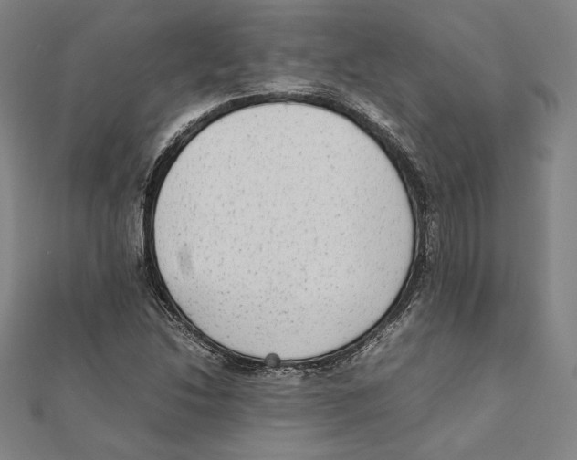 X0000111651214200908141244