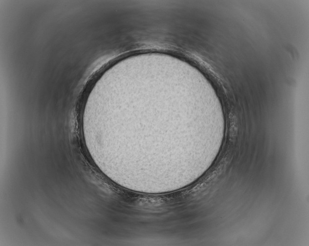 X0000111651215200908141244
