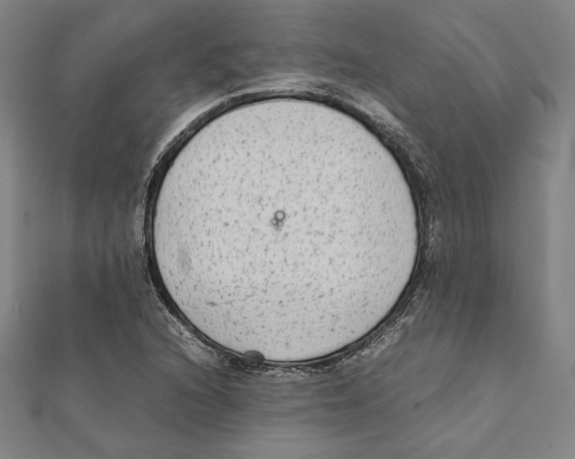 X0000111651216200908141244