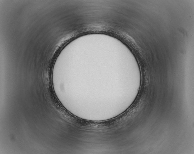 X0000111651218200908141244