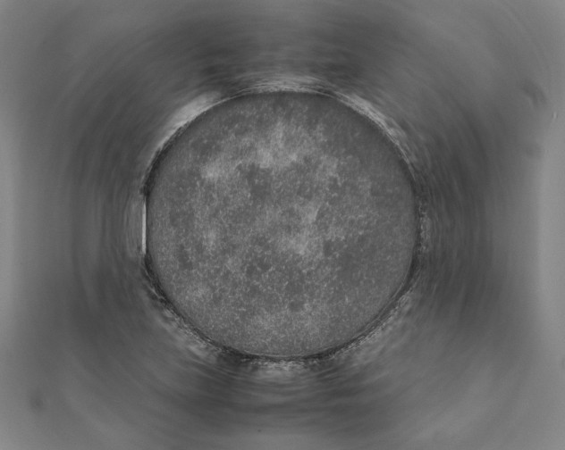 X0000111651219200908141244