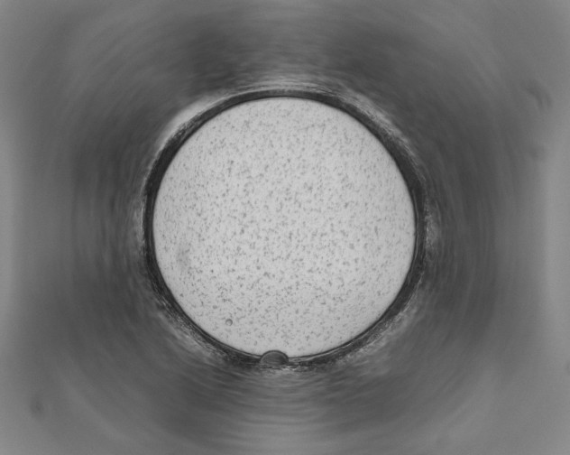 X0000111651222200908141244