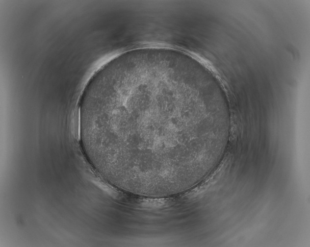 X0000111651223200908141244