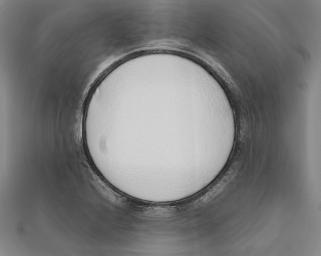 X0000111651224200908141244