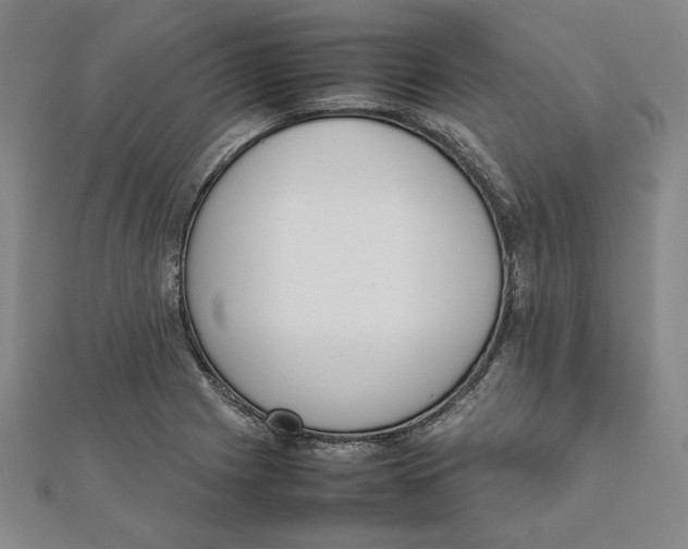 X0000111651225200908141244