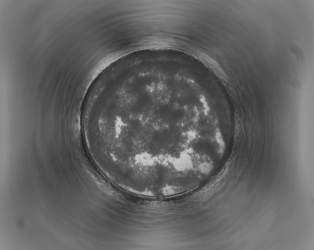 X0000111651226200908141244