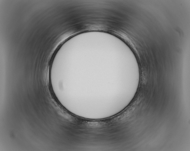 X0000111651227200908141244