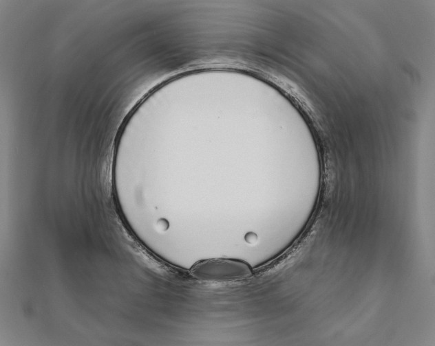 X0000111651228200908141244