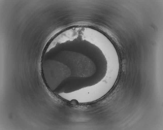 X0000111651229200908141244