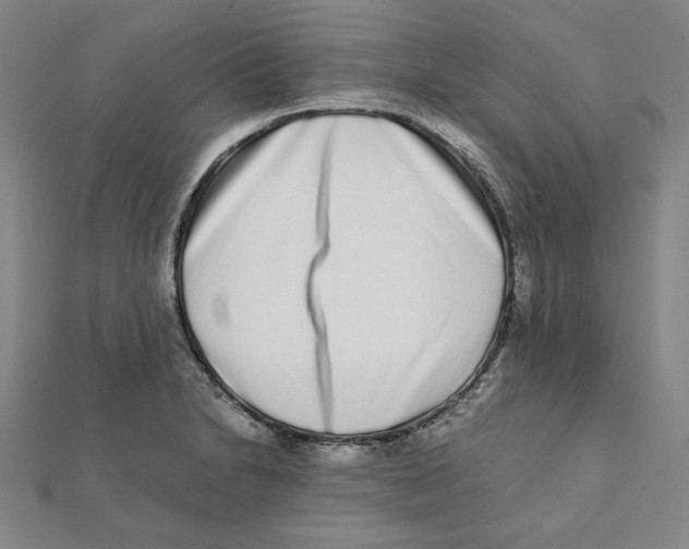 X0000111651230200908141244