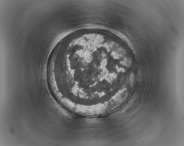 X0000111651231200908141244