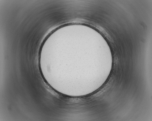 X0000111651232200908141244