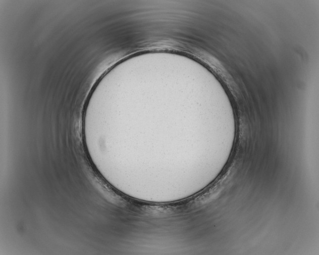X0000111651234200908141244