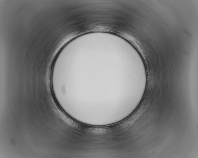 X0000111651235200908141244