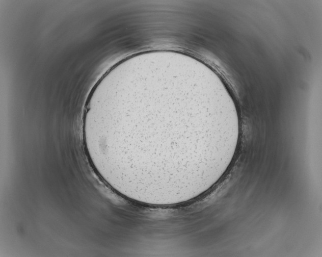 X0000111651236200908141244