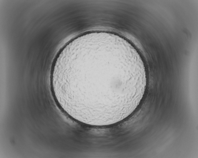 X0000111651237200908141244