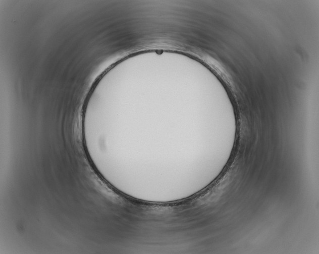 X0000111651238200908141244