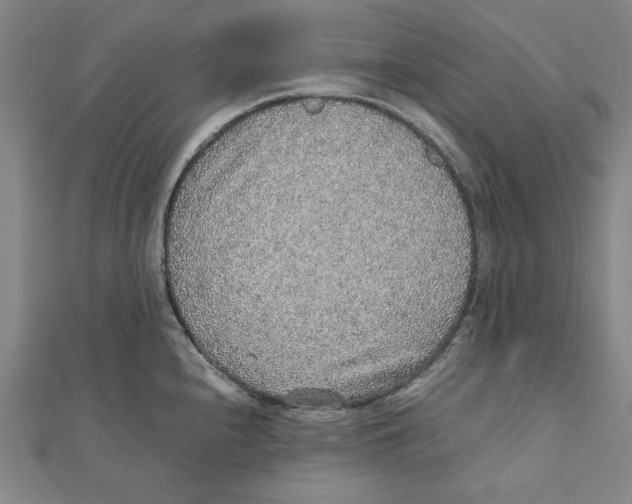 X0000111651240200908141244