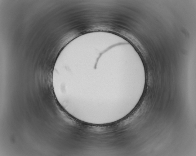 X0000111651241200908141244
