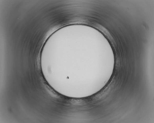 X0000111651242200908141244